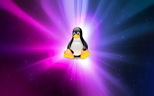 亚马逊AWS EC2服务器更新linux内核-咖啡先生Coffee丶Mr
